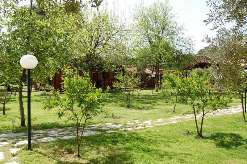Hotel Olympos Mitos Esterno foto