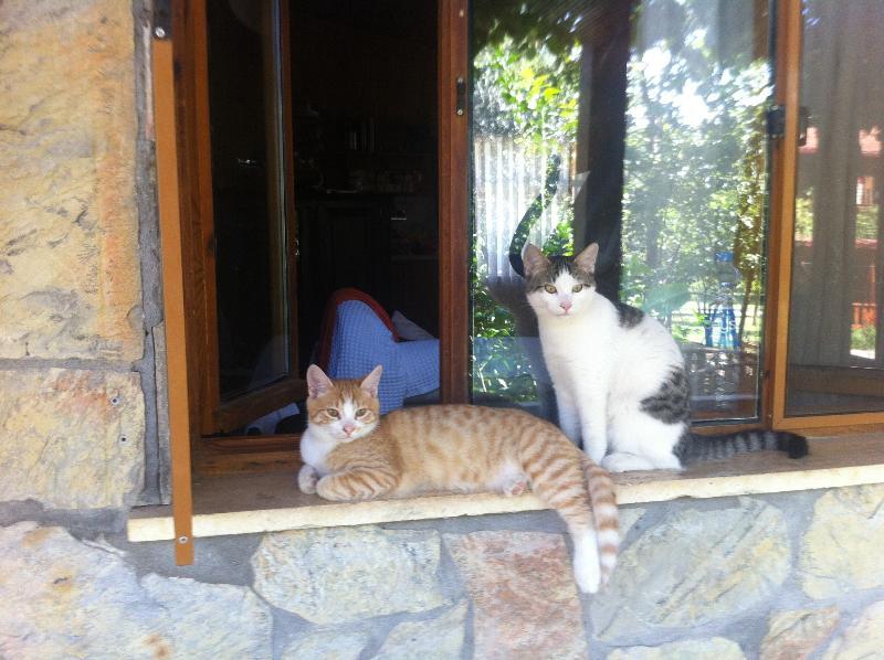 Hotel Olympos Mitos Esterno foto